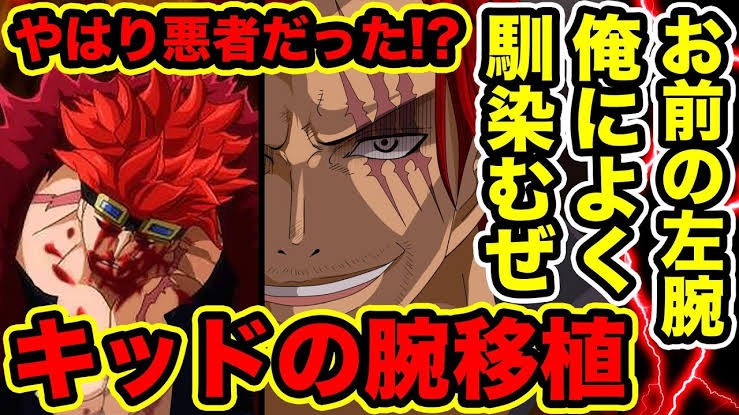 謎 四皇最強のシャンクスがただの魚に腕食われた理由 ヤバイ ニュース 謎 四皇最強のシャンクスがただの魚に腕食われた理由 ヤバイ ニュース