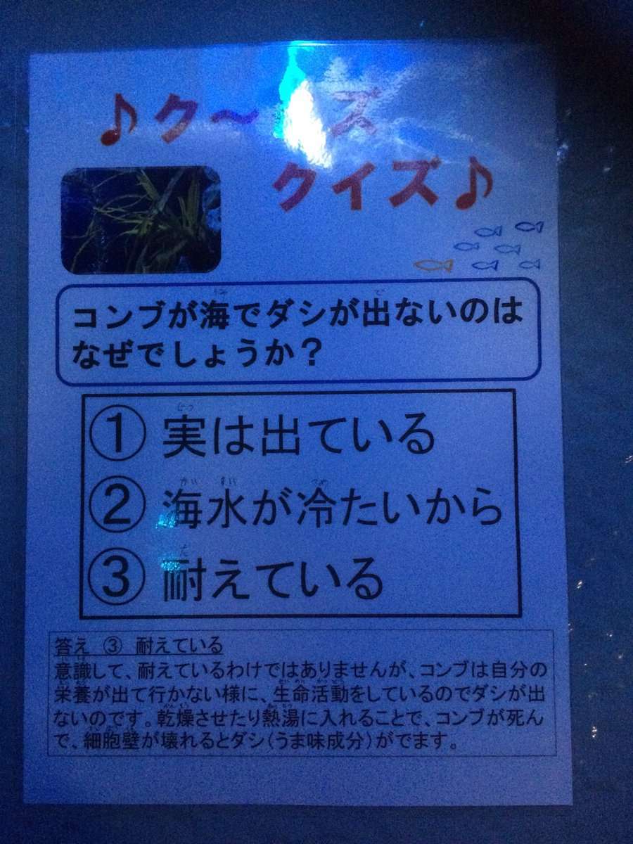 【衝撃】昆布が海でダシが出ない理由がヤバすぎるwww