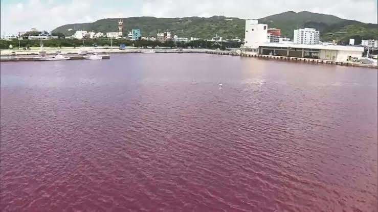 【悲報】中国の海、想像以上にヤバかった